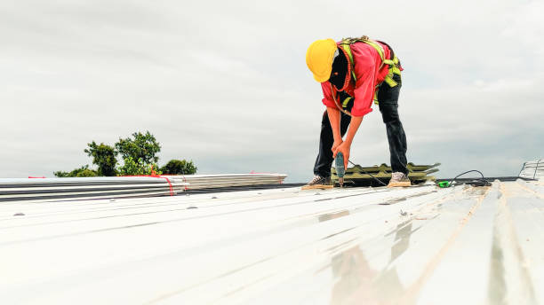 Best Commercial Roofing Services  in Murray, KY